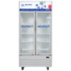 Tủ mát trưng bày Hòa Phát HSR D6526 - 526 lít 2 cánh 1 tu mat hoa phat 526 lit hsr d6526 fix 1 700x467 1